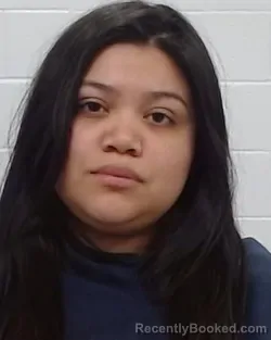 Mugshot of Karen Susely Sanchez booked in Collin County, Texas on March 29, 2026