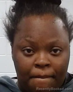 Mugshot of Destiny Earlean Goynes booked in Collin County, Texas on March 19, 2026