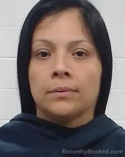 Mugshot of Monica Marie Hernandez booked in Collin County, Texas on June 28, 2026