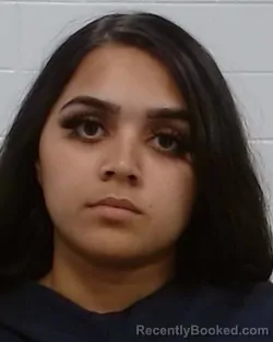 Mugshot of Farzana Sayed Chowdhury booked in Collin County, Texas on March 26, 2026