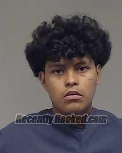 Booking photo from Collin County, Texas