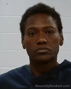 Mugshot of Latrice Martin booked in Collin County, Texas on September 13, 2026