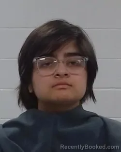 Mugshot of Britney J Ruiz