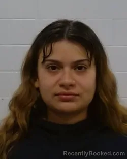 Mugshot of Alyssa Mariah Sierra booked in Collin County, Texas on July 26, 2026