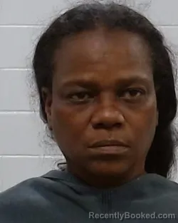 Mugshot of Demetra Marie Crawford booked in Collin County, Texas on March 21, 2026