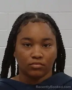 Mugshot of Destinee Arnai Holmes booked in Collin County, Texas on July 16, 2026