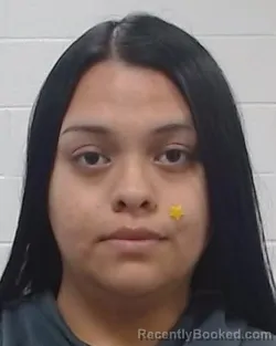 Mugshot of Leslie Proano Mantalvo