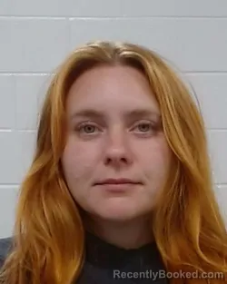 Mugshot of Haley Arah Pannell booked in Collin County, Texas on March 19, 2026