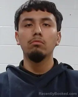 Mugshot of David Gonzalez booked in Collin County, Texas on March 25, 2026