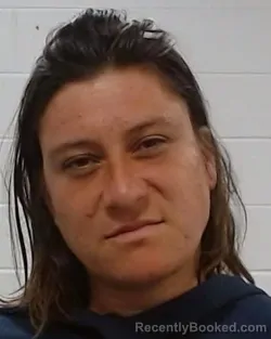 Mugshot of Cara Alysse Gomez Landry booked in Collin County, Texas on September 1, 2026