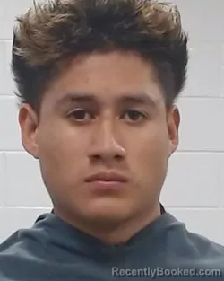 Booking photo from Collin County, Texas