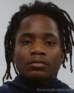 Mugshot of Jr Schneider booked in Collin County, Texas on March 30, 2026