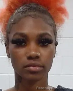 Mugshot of Jaquel Kilynn-Elizabeth Tinsley booked in Collin County, Texas on April 4, 2026