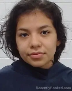 Mugshot of Destiny Gallardo booked in Collin County, Texas on March 30, 2026