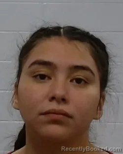 Mugshot of Dana Julissa Gutierrez-Betancourth booked in Collin County, Texas on August 25, 2026