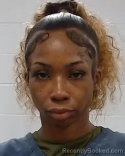 Mugshot of Lasandrate Dejane Jackson booked in Collin County, Texas on April 24, 2026