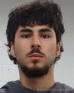 Mugshot of Abraham Imad Dandis booked in Collin County, Texas on April 28, 2026