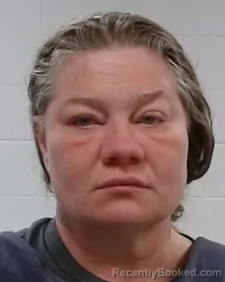 Mugshot of Elizabeth Marie Theriault booked in Collin County, Texas on March 21, 2026