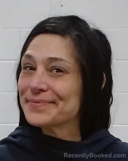 Mugshot of Cynthia Marie Speegle booked in Collin County, Texas on April 1, 2026