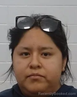 Mugshot of Evelyn Pena-Barquera booked in Collin County, Texas on June 4, 2026