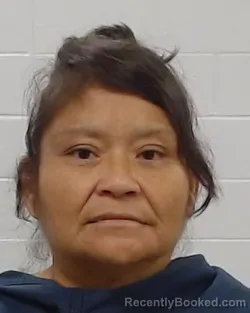 Mugshot of Quantania Smith booked in Collin County, Texas on September 3, 2026
