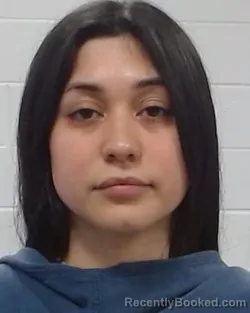 Mugshot of Serena Denise Najera Hitzelberger booked in Collin County, Texas on July 8, 2026