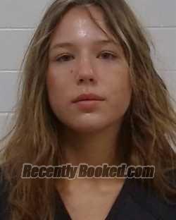 Booking photo from Collin County, Texas