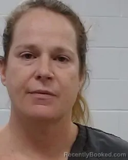 Mugshot of Erin McMellan booked in Collin County, Texas on March 26, 2026