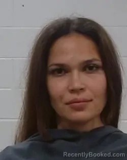 Booking photo from Collin County, Texas