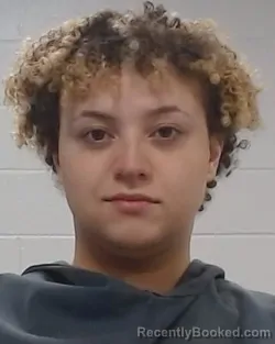 Mugshot of Trevin Harris Wilkerson