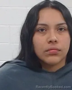 Mugshot of Jazmin Estrada