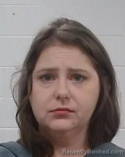 Booking photo from Collin County, Texas