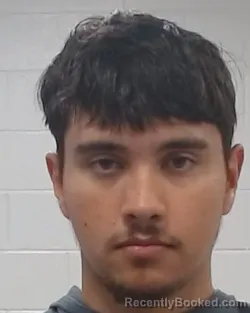 Mugshot of Michael Ryan Hanifan