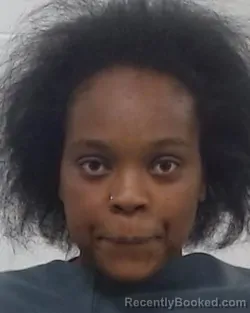 Booking photo from Collin County, Texas