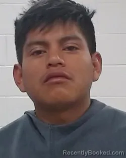 Booking photo from Collin County, Texas