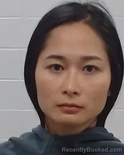 Mugshot of Tien Ho