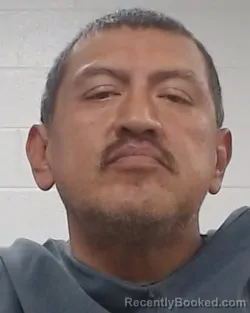 Mugshot of Jose Luis Francisco Martinez Huerta