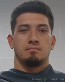 Mugshot of Bradlee Joseph Ioane Anae