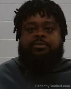 Booking photo from Collin County, Texas