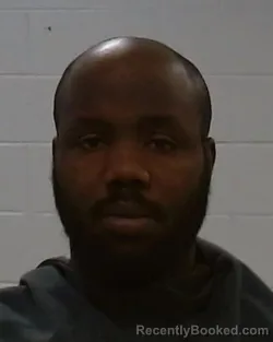 Mugshot of Oreoluwa Afolayan