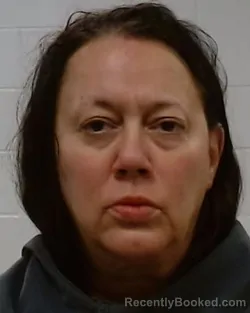 Mugshot of Lisa Anderson