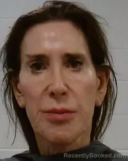 Mugshot of Lisa White Nace