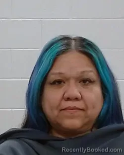 Mugshot of Irasema Olvera
