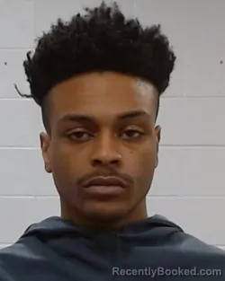 Mugshot of Leevon James Gaines