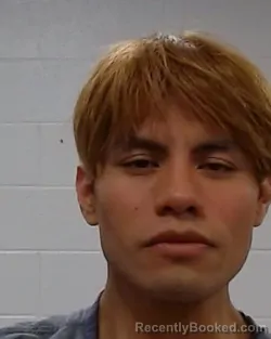 Mugshot of Jose L. Guapo-Franco