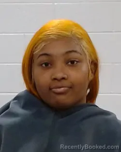Mugshot of Sha Tiara Daniel