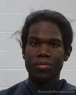 Booking photo from Collin County, Texas