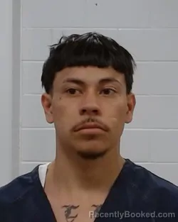 Booking photo from Collin County, Texas