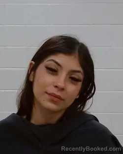 Booking photo from Collin County, Texas