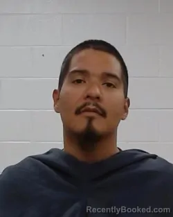 Booking photo from Collin County, Texas